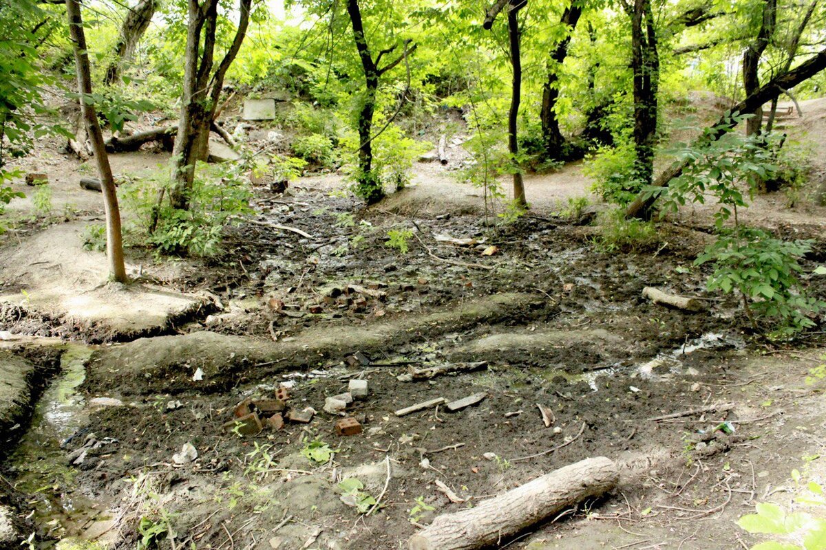 "Заповедная" часть балки Рябинина