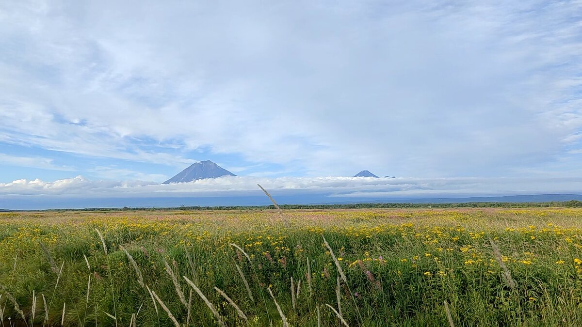 домашние вулканы - Корякская и Авачинская сопки