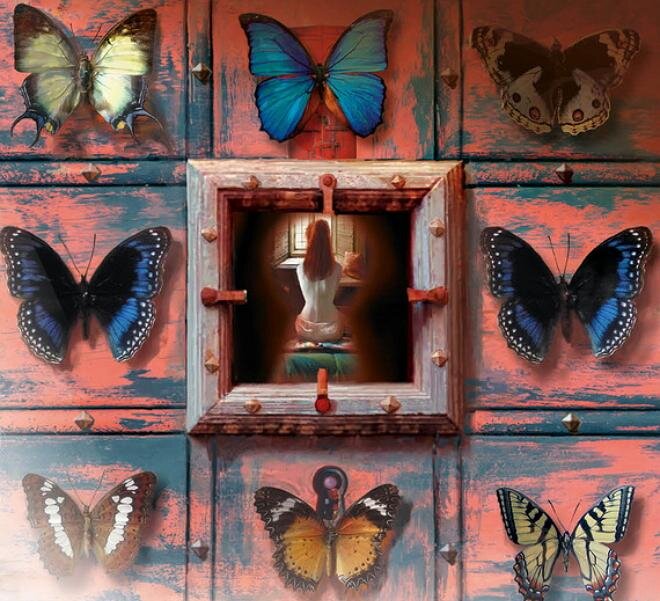 Иллюстрация к роману Джона Фаулза "Коллекционер", offerdos.com