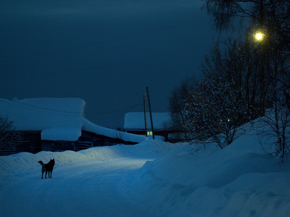 Умба. Полярная ночь