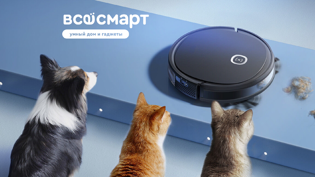 4 умных способа сохранить квартиру в чистоте, если есть домашние животные