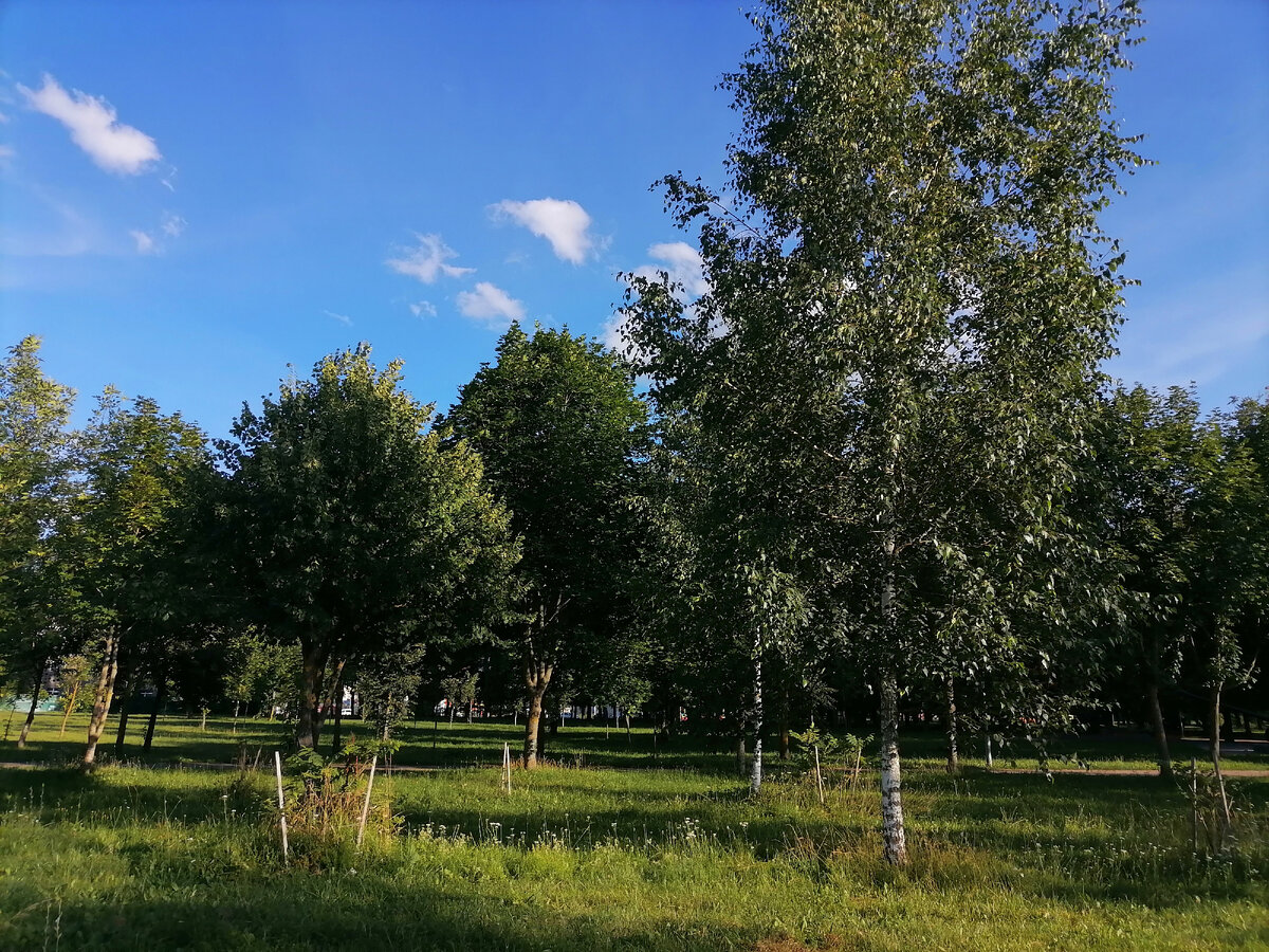 Дорогие читатели! Мой вопрос пока не решён. Оставлять комментарии я не могу, к сожалению. Надеюсь на понимание.