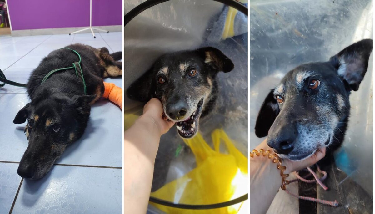 Ангар с Ангарского перевала