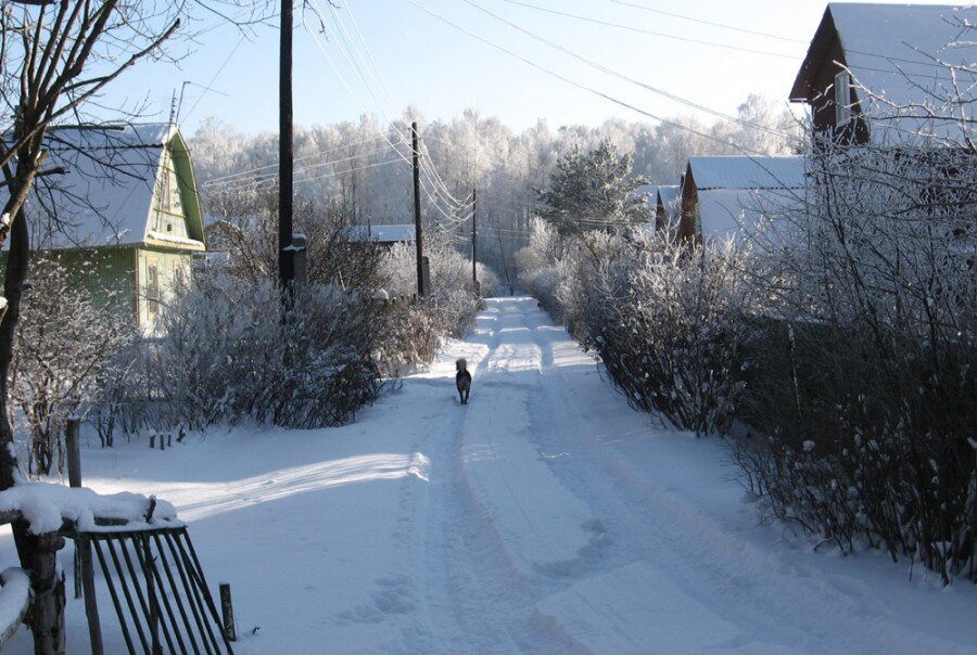 Фото с интернета.