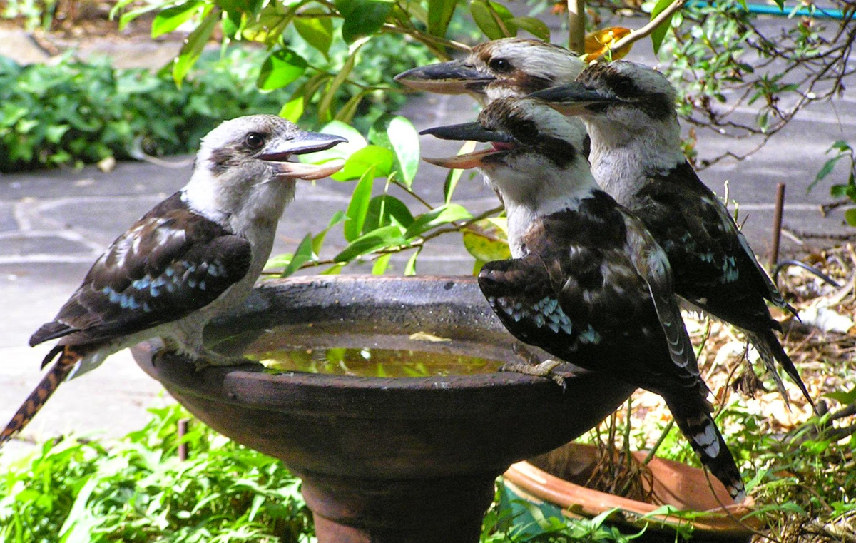 Теперь можно и отдохнуть: Фото: gas-kvas.com