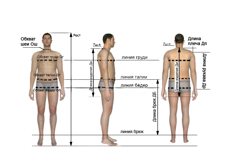 Обхват плеч норма. Как мерить мужские параметры. Как замерить параметры фигуры мужчины. Как снять мерки с мужчины. Как замерить параметры тела мужчины.