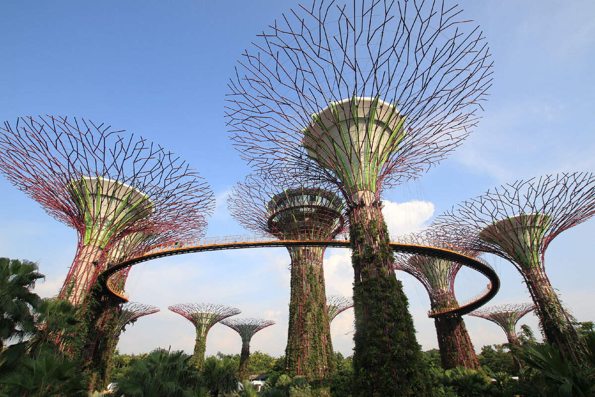 Там, где сорок лет назад было море, в парке Gardens by the Bay возвышаются гигантские искусственные высоко технологические деревья, которые стали одним из символов Сингапура