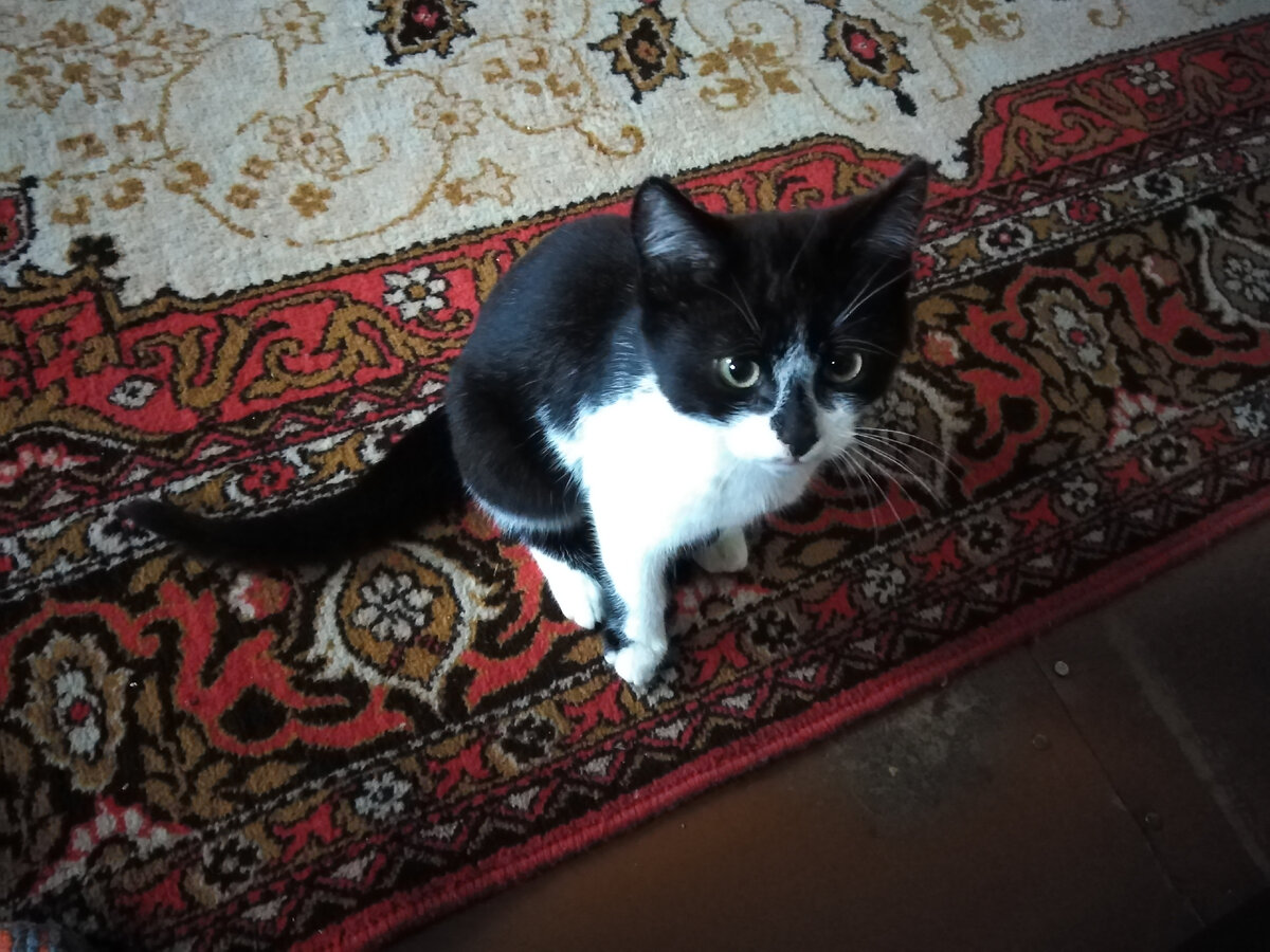 Фото автора.