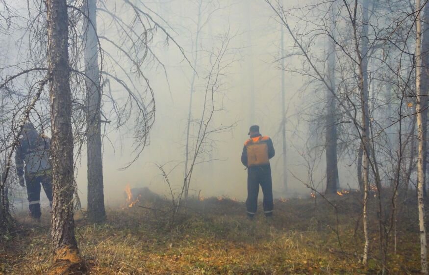    Площадь пожара в Геленджике выросла более чем втрое