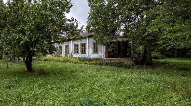 Фото: Павел Колядин