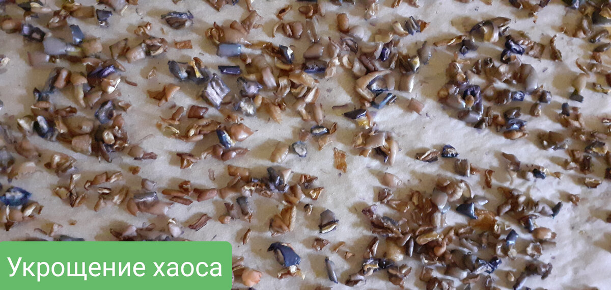 Сушится фиолетовый болгарский перец