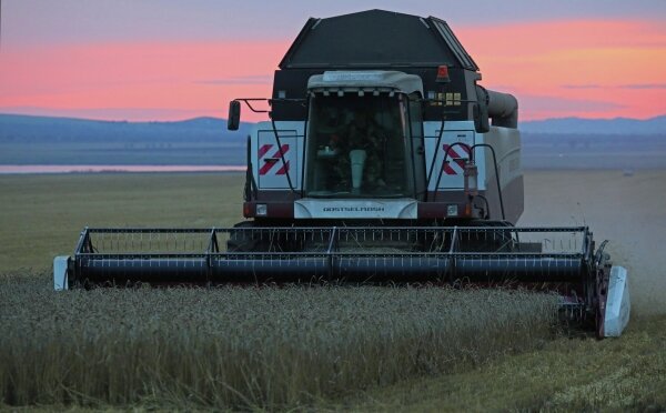 Фото: РИА Новости/Илья Наймушин