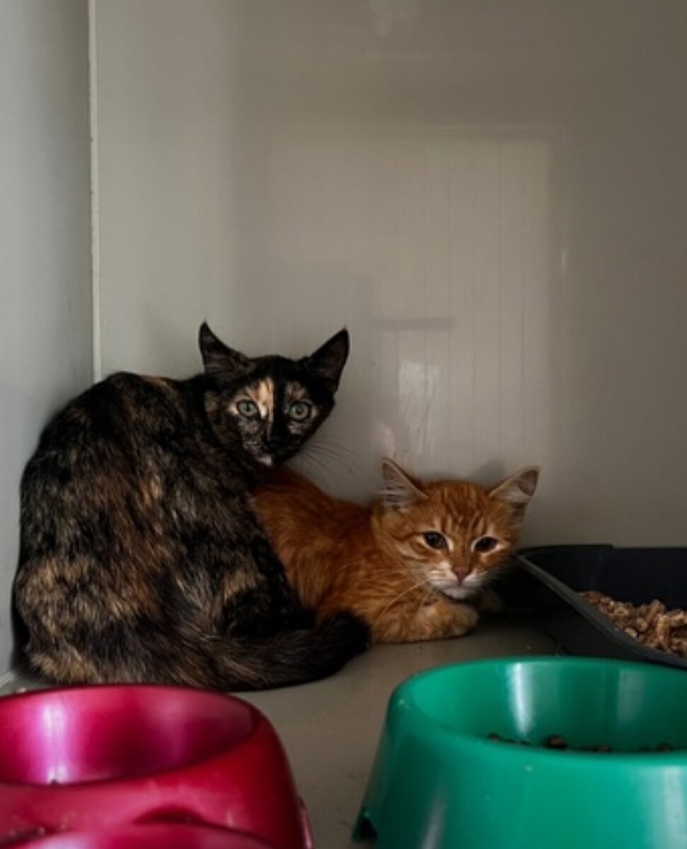 малыши в клинике