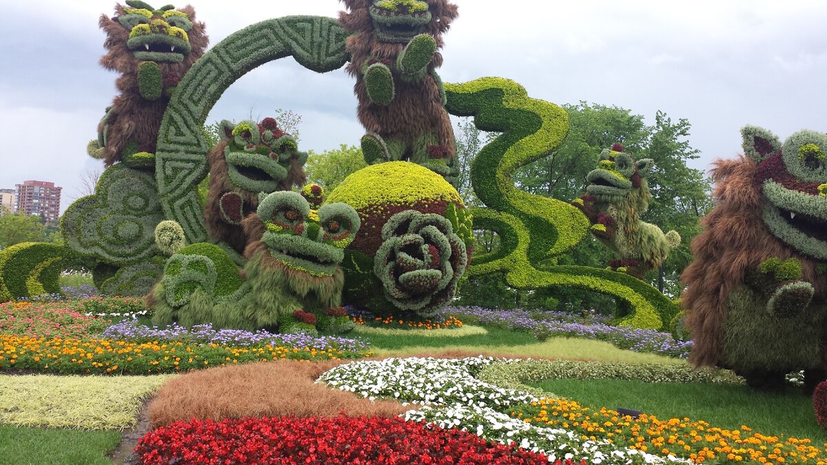 Счастливые львы, фото автора.