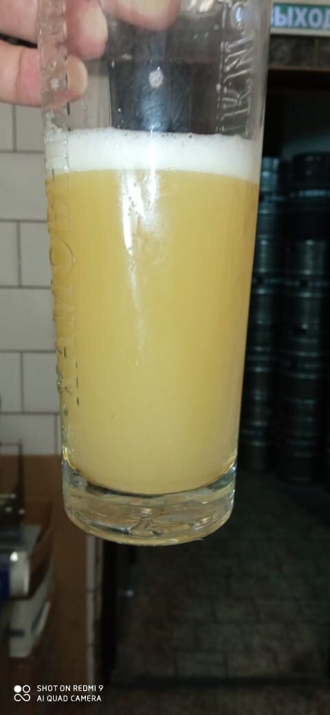 Пшеничное нефильтрованное - частый виновник диареи