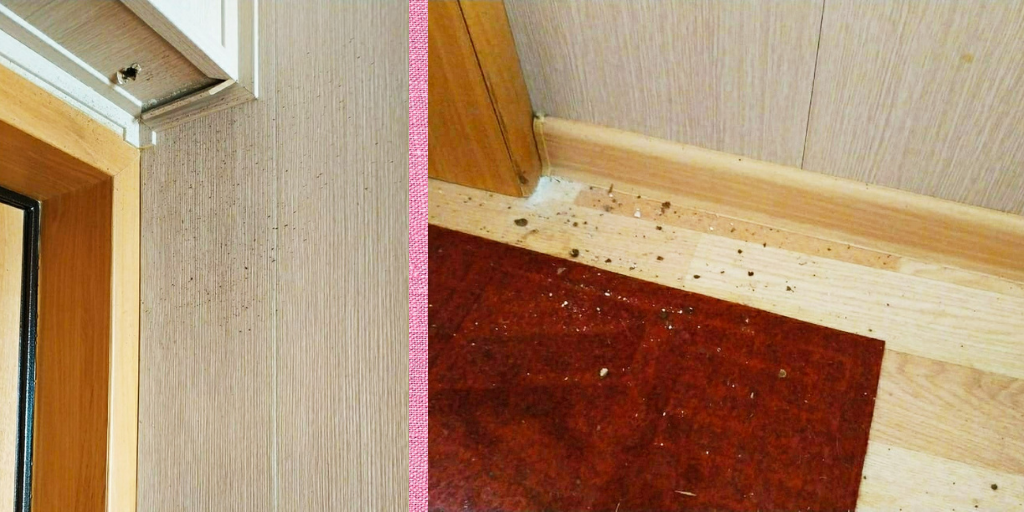 Дырка в декоративном коробе, который закрывает часть трубы водостока. Фото автора