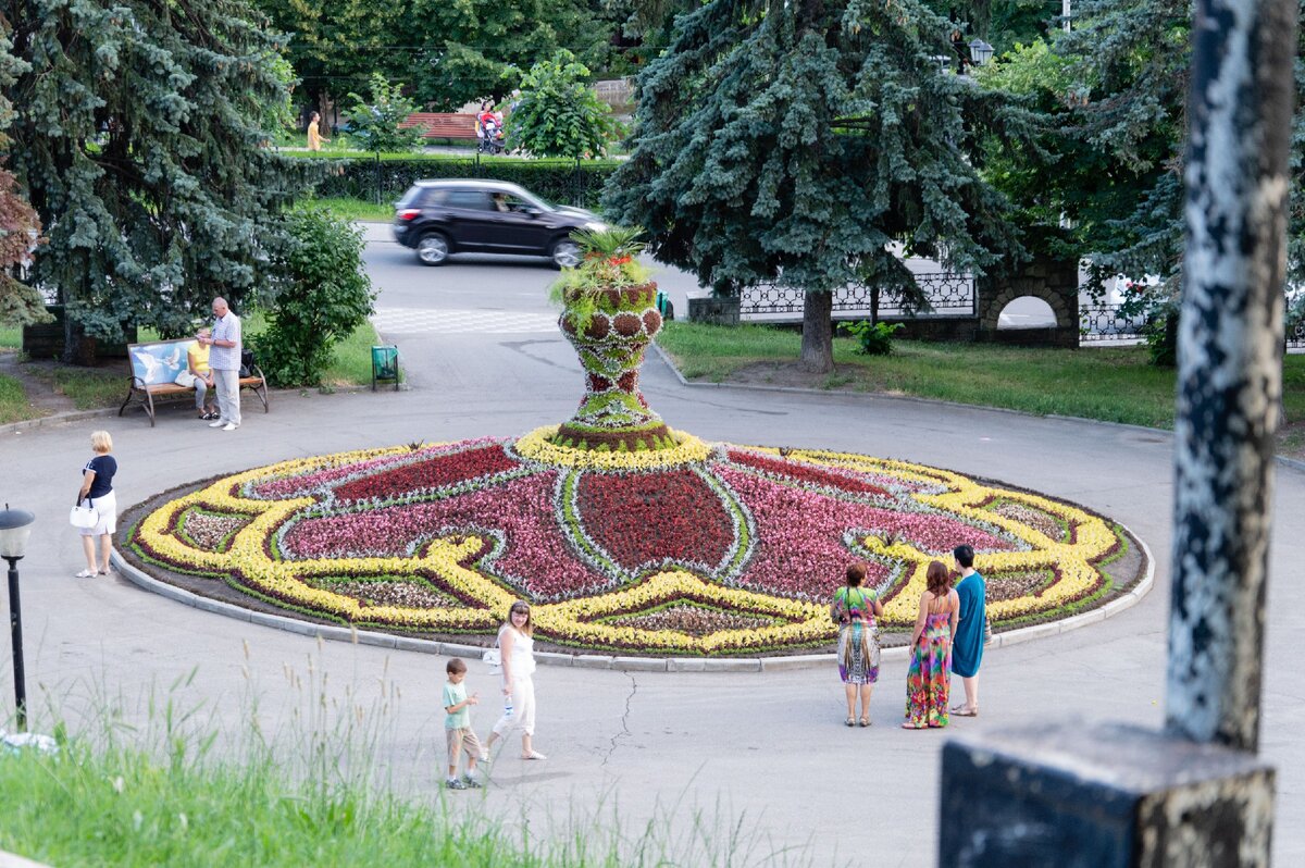 А вон наверху кубышка.