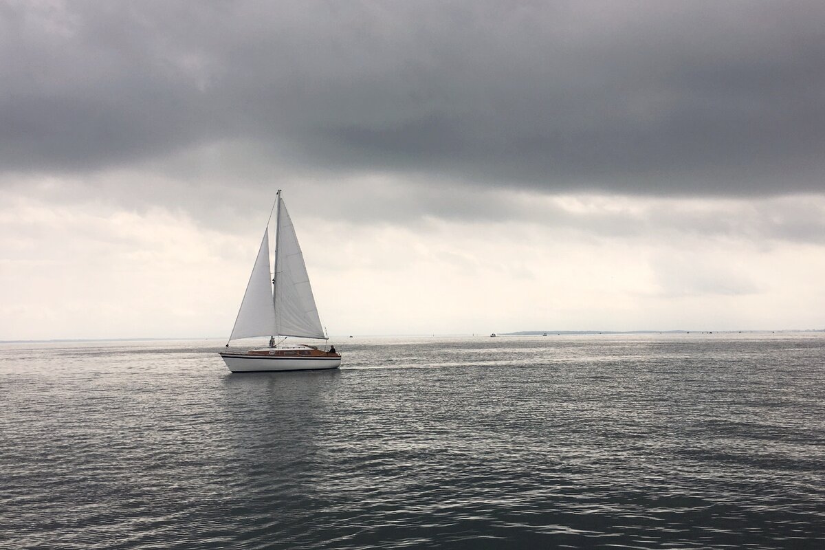 Яндекс.Картинки