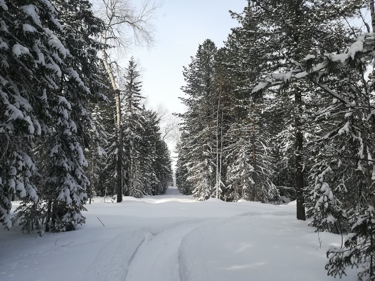 ХМАО чудная зима выдалась
