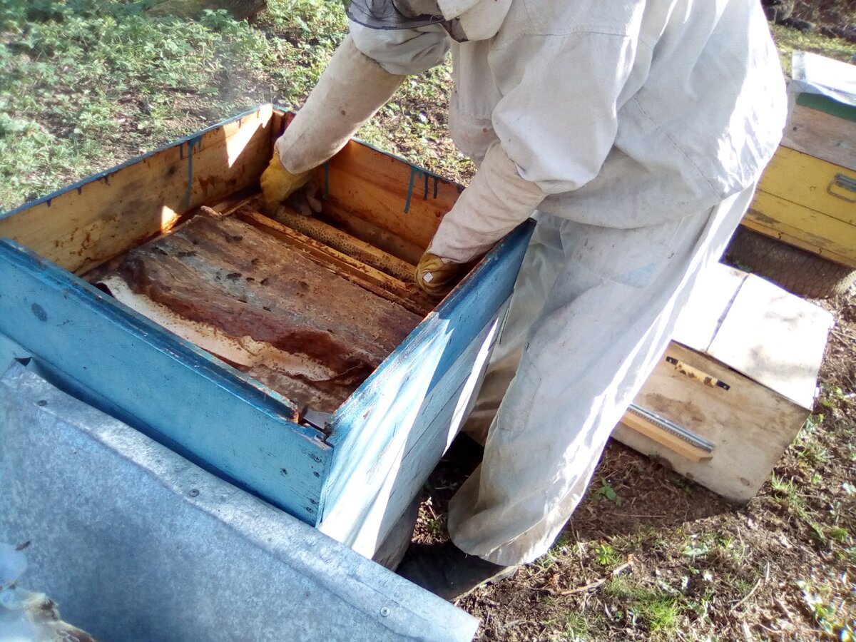 Товары оптом на luchistii-sudak.ru - пластиковые ящики для пчел