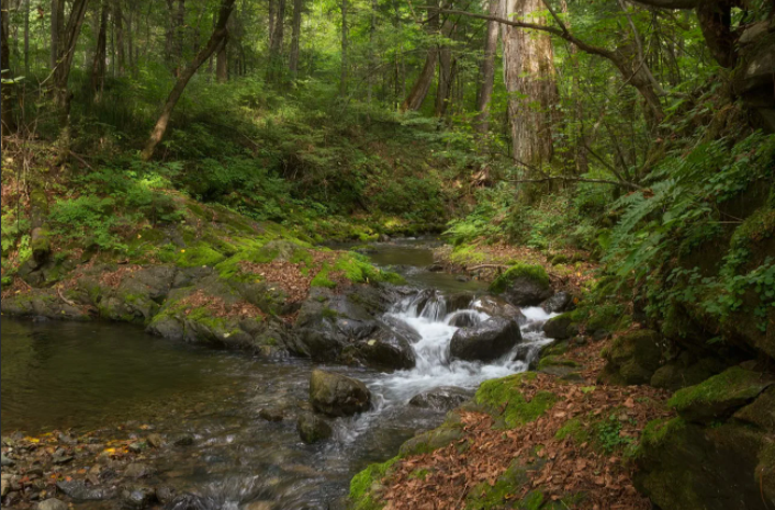 фото для иллюстрации
