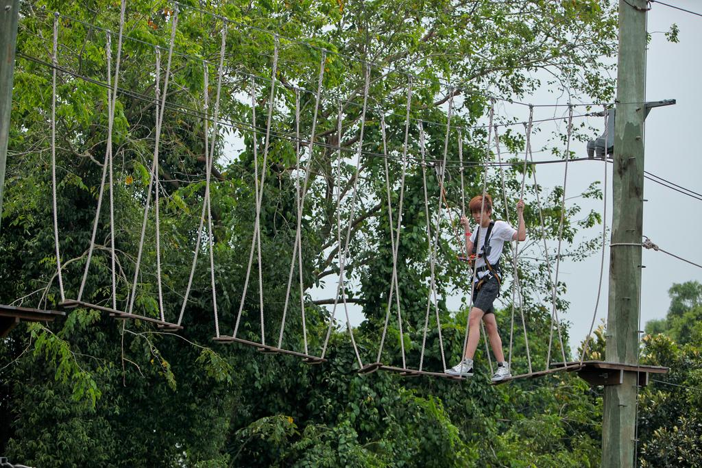 Парк «Зеленая Дорога». Фото: https://yandex.ru/images