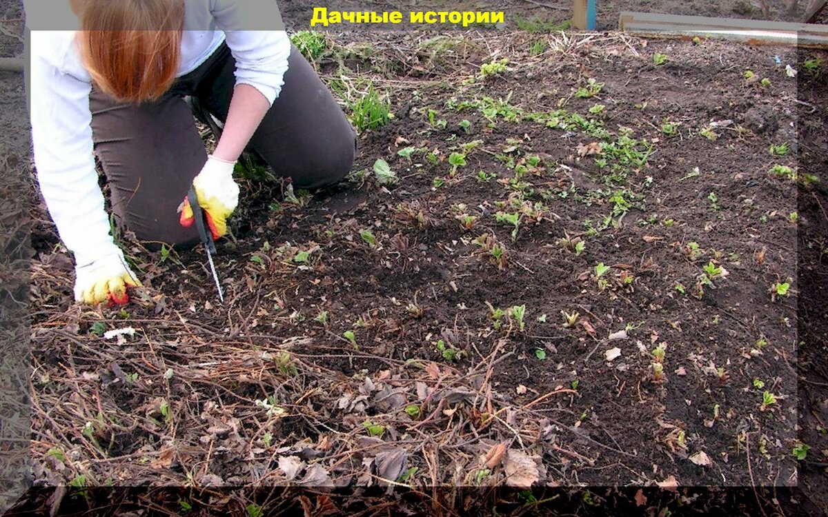 https://vk.com/photo-159774511_457246920