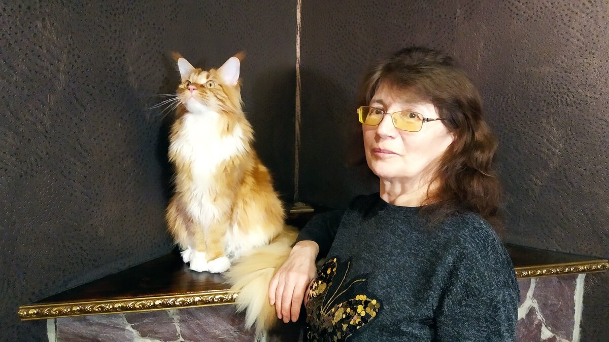 Бабушка и мейн кун Степа.