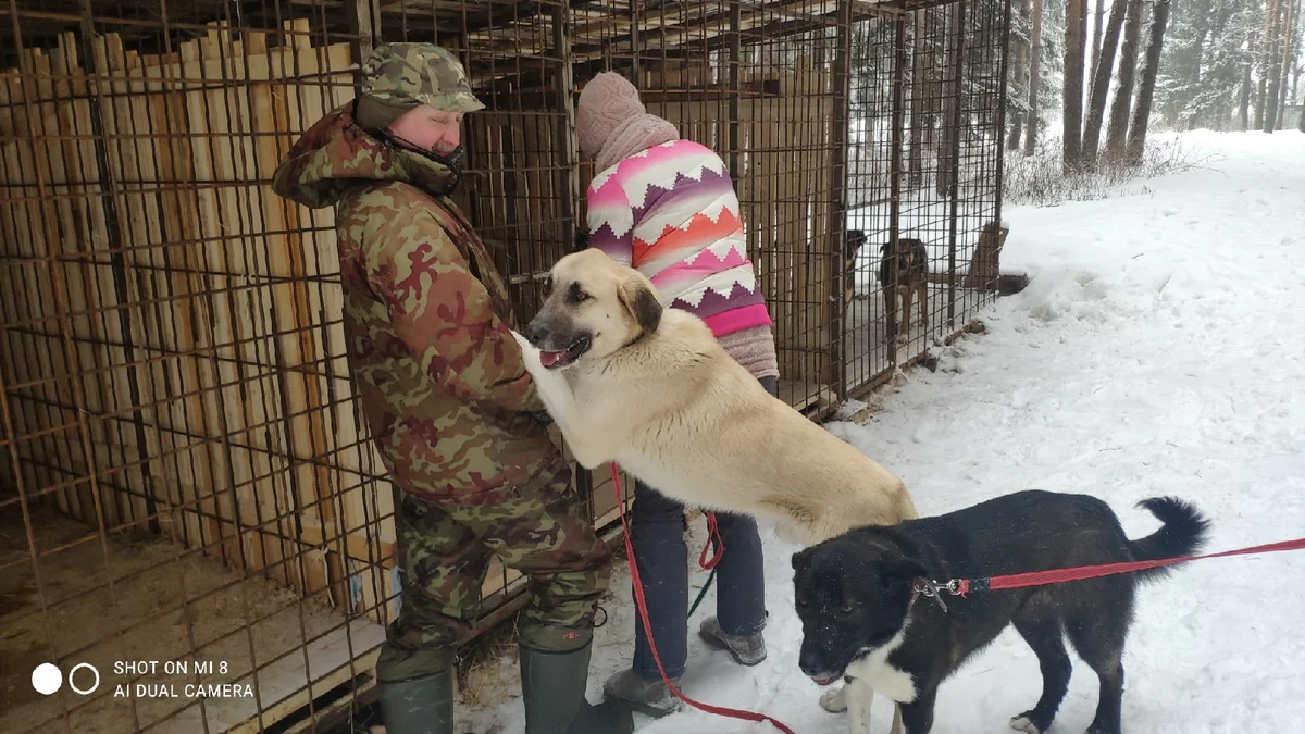 волонтерский день