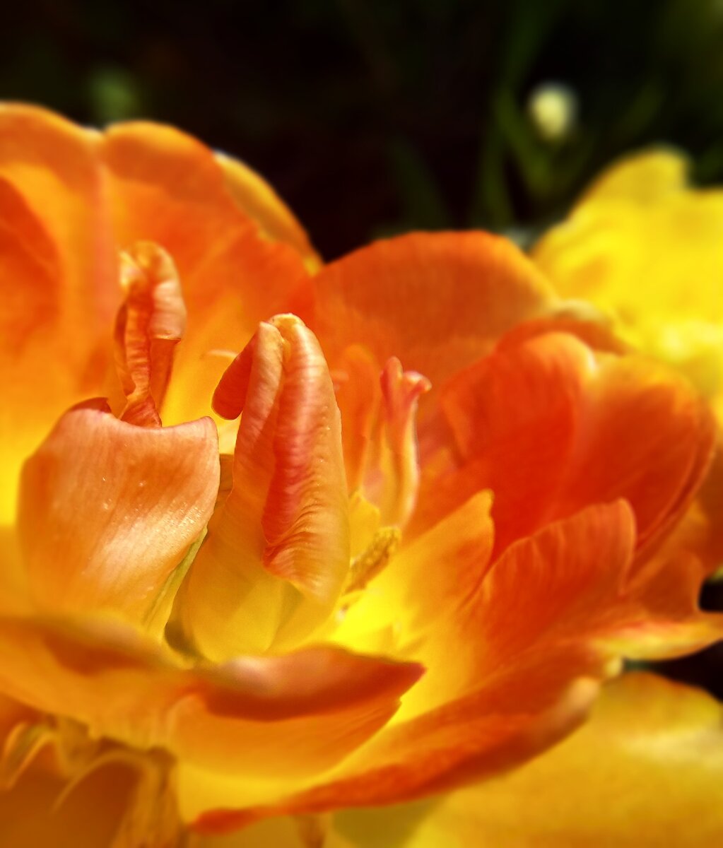 Фото из архива)