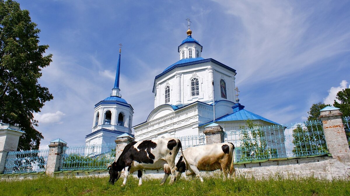 Ахмедова Светлана