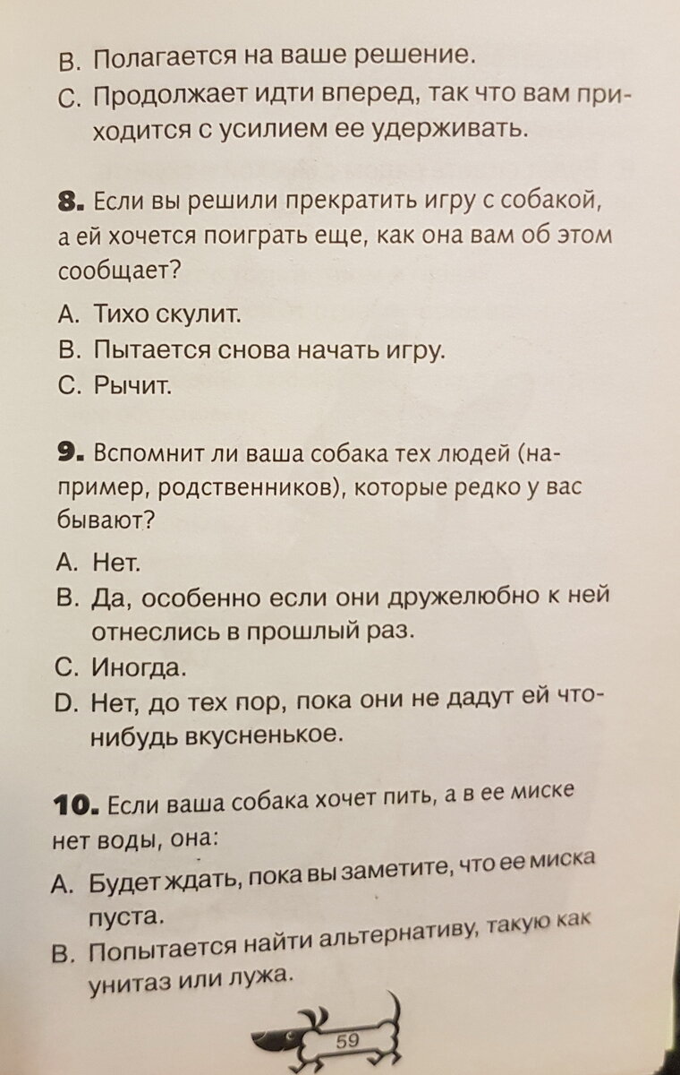 Насколько умна ваша собака (тест) | Дневник собачницы | Дзен