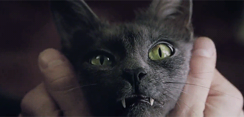 Кадр из фильма «Константин: Повелитель тьмы». Маленький спойлер-подсказка к этому тесту :)
