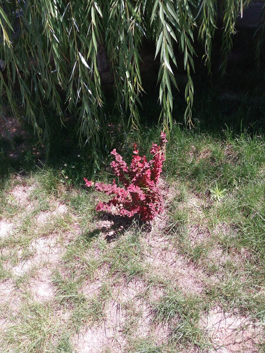 у нас и такое бывает, правда редко.