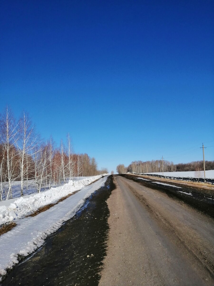 Дорога в деревню.                 