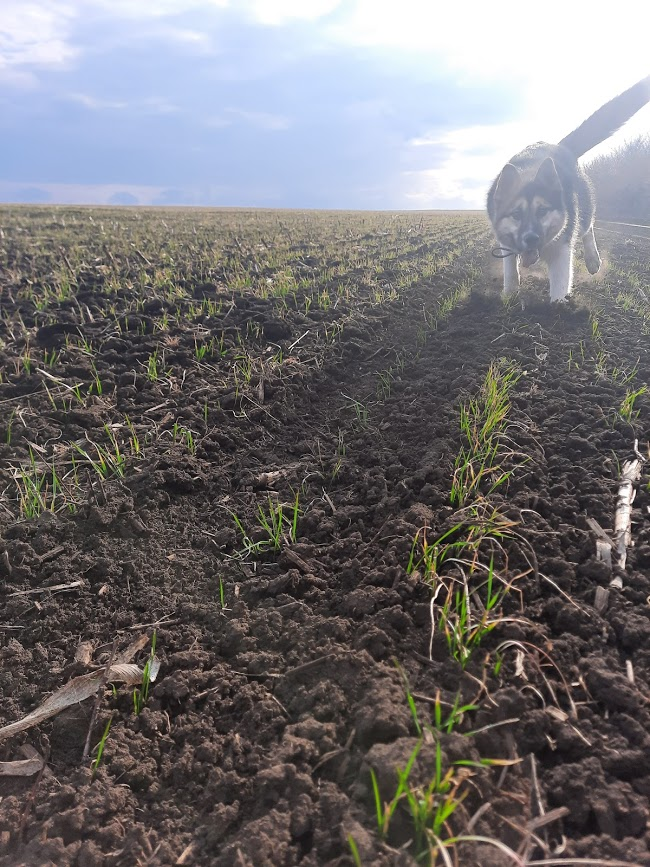 Очень нравится, как тут Леда поймалась.