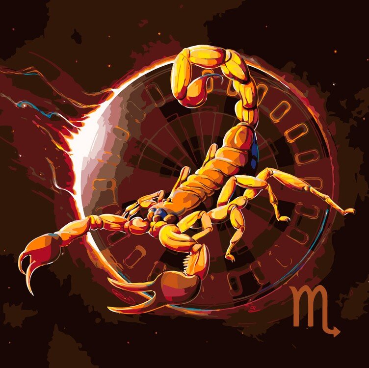 Фото с сайта spb.zvetnoe.ru