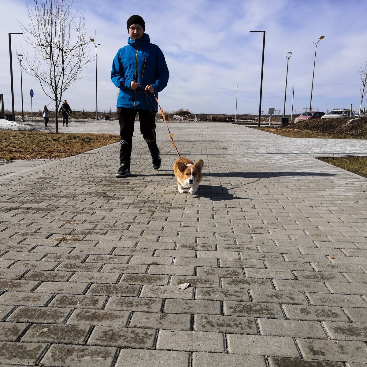 Добавлю немного Димы в ленту :)