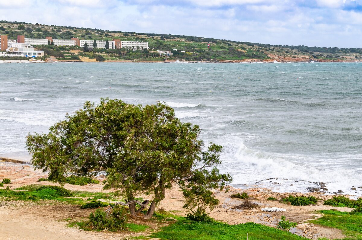 Сильный ураганный ветер