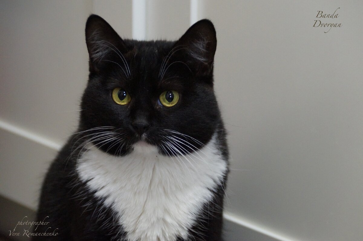 Вы нервничаете? Серьезно? Нашли впустую время и нервные клетки тратить!