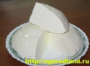 Как приготовить домашний сыр. 12 рецептов сыров по-домашнему