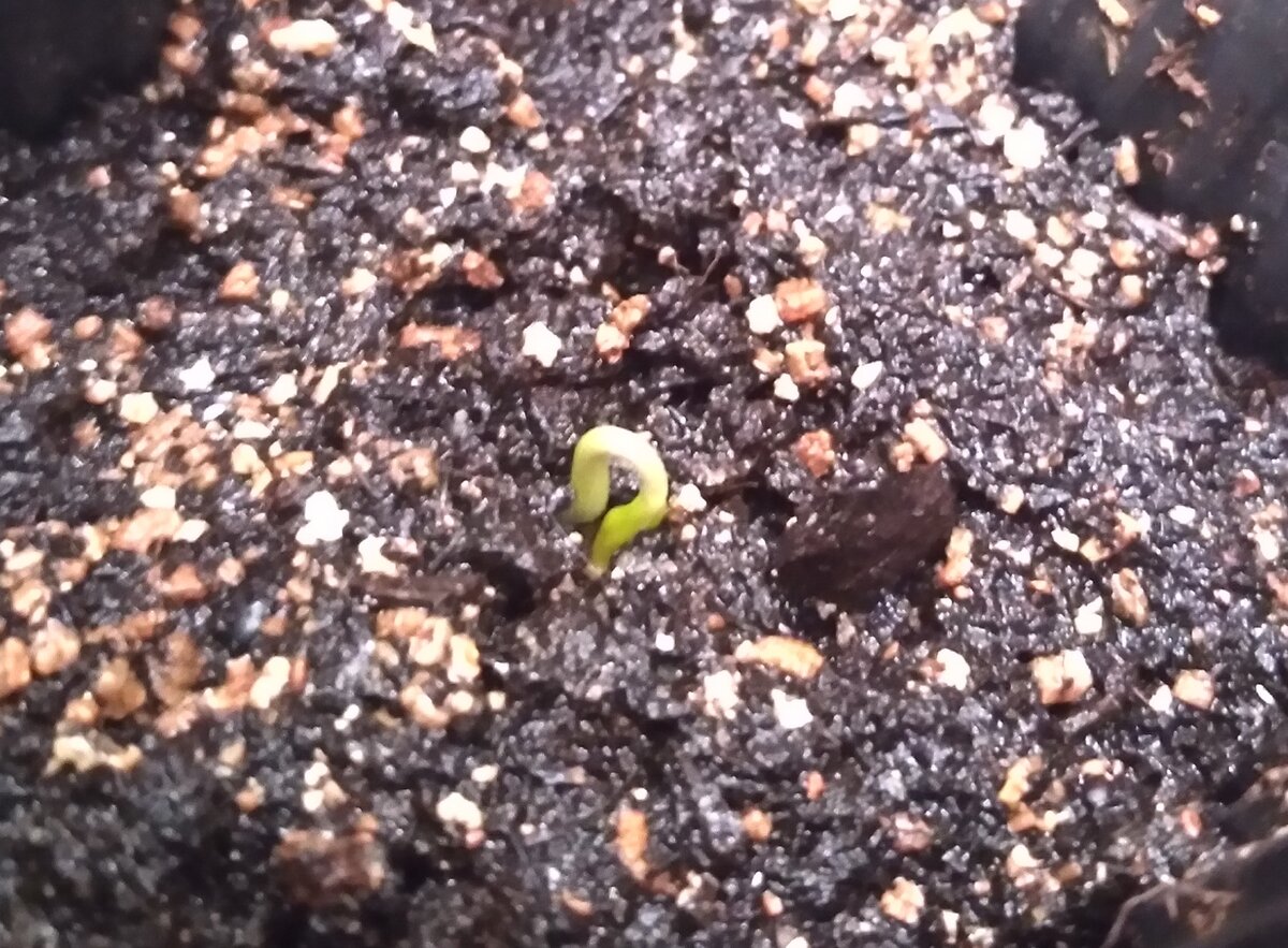 личное фото