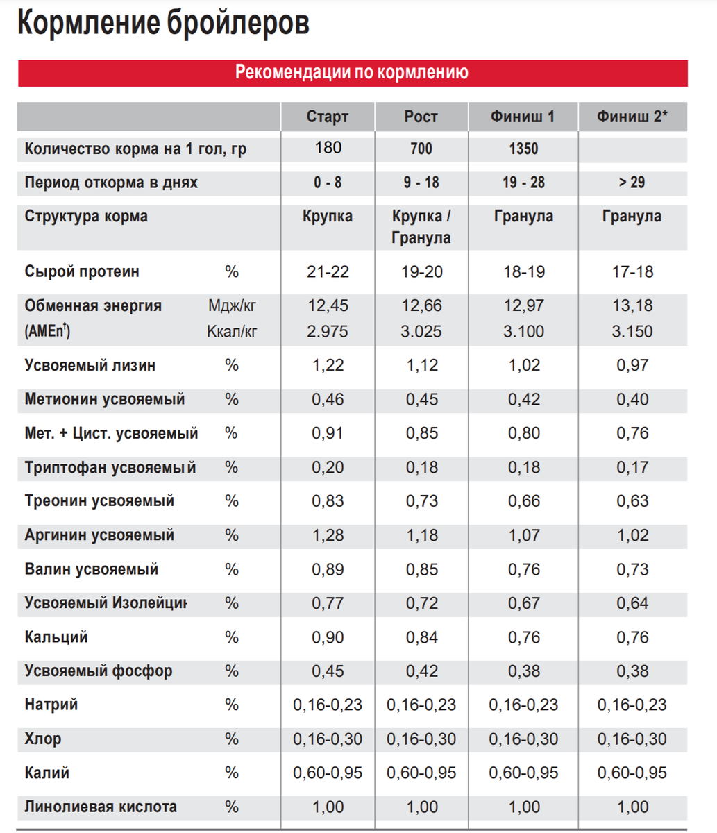 Количество 500