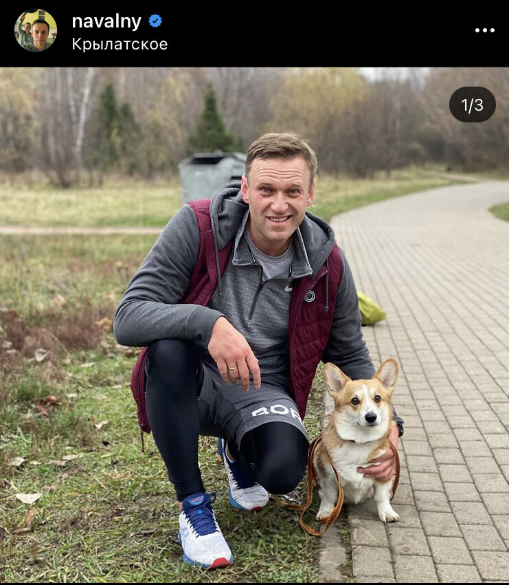 Паркран в Крылатском - отличная трасса, очень красивая. Местные бегуны приветливые и дружелюбные. Одолжили собачку Алису для фото и звали с собой купаться (тут на самом деле есть такая традиция), но я дипломатично отказался. #parkrun  #паркран #паркранкрылатское 