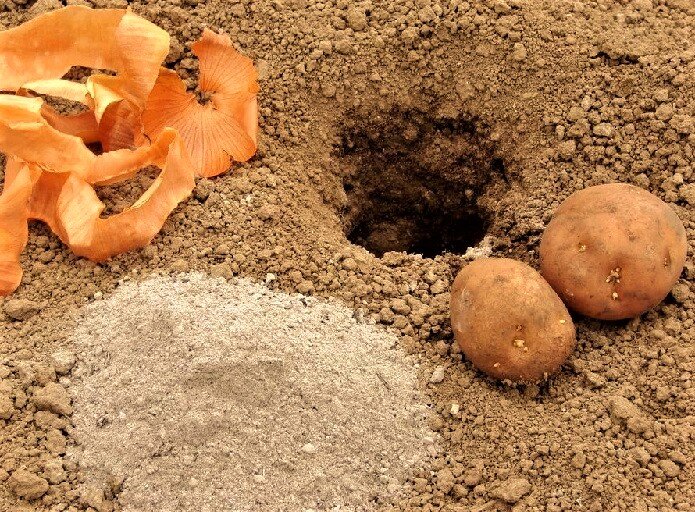 Источник фото: Яндекс.Картинки