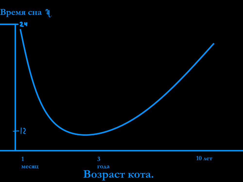 нарисованный мной график сна