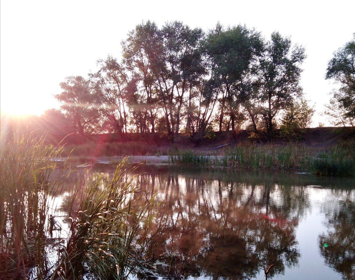 Раннее весеннее утро. 