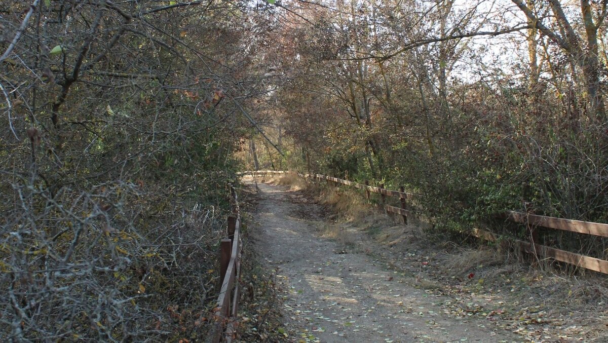 Плачущая скала. Фото автора, Листайте карусель