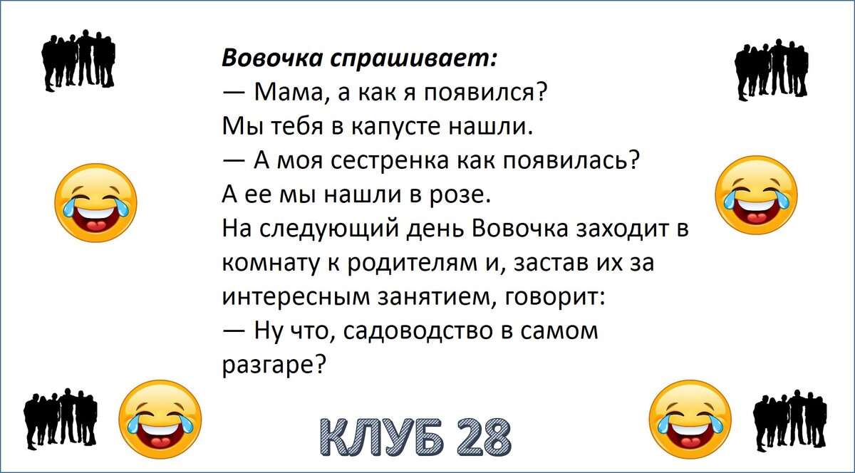 Дзен дм 28