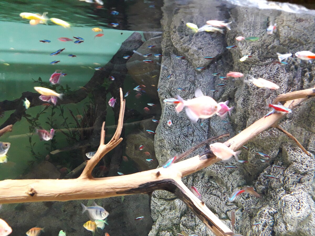 Сверкающий мир. Фото автора.